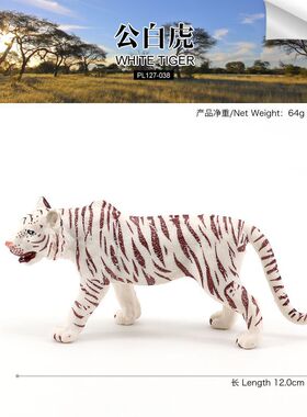 PL127-038现货仿真野生动物模型实心儿童玩具公白虎老虎模型摆件