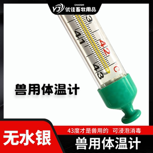 兽用体温计【大刻度】玻璃无水银畜牧兽医宠物养猪用体温计测温仪