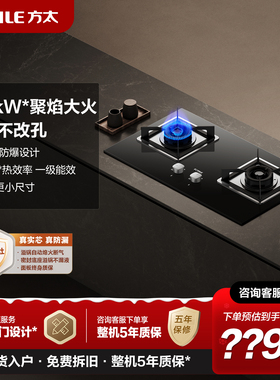 方太燃气灶家用双灶具02-TH31B猛火灶台嵌入式天然液化气炉煤气灶