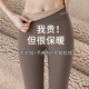 大码 咖色鲨鱼裤 高腰打底保暖裤 加绒加厚2026新款 女外穿秋冬季