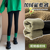女2024新款 加绒加厚鲨鱼裤 外穿冬季 牛油果裤 润肤保暖打底棉裤