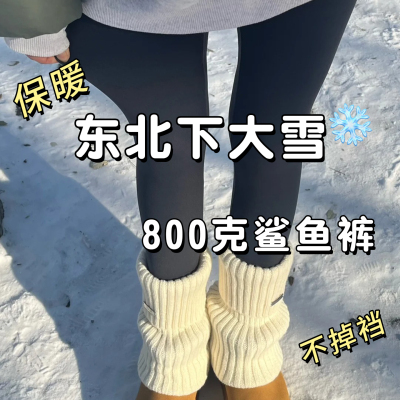 加绒加厚鲨鱼裤女外穿冬季