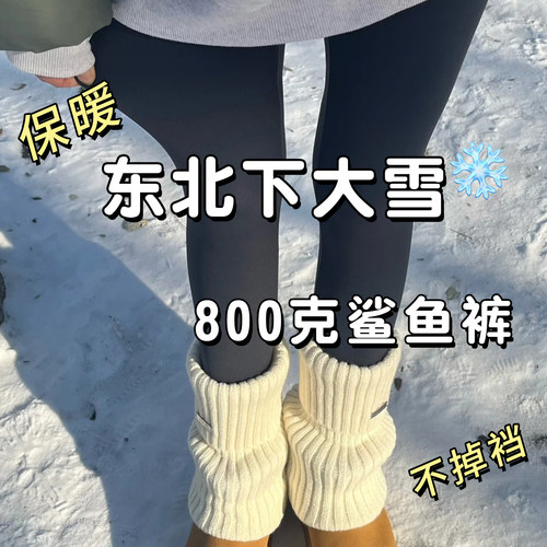 加绒加厚鲨鱼裤女外穿冬季
