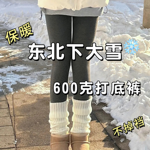 秋裤 东北哈尔滨加绒加厚2025新保暖棉裤 女外穿秋冬季 600克打底裤