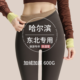 特厚鲨鱼裤女外穿2025新款加绒加厚高腰打底瑜伽裤保暖棉裤抗寒