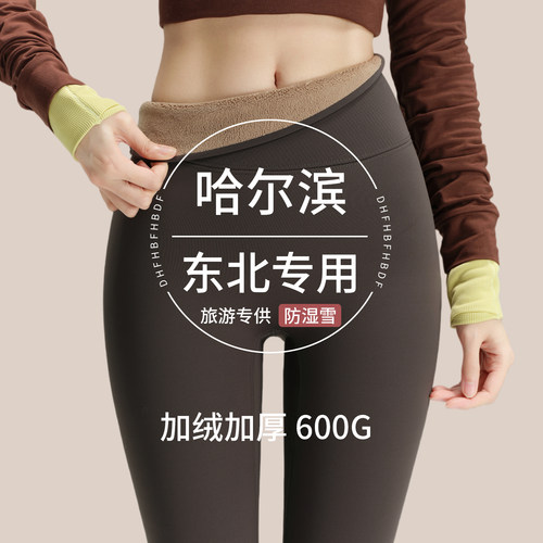 特厚鲨鱼裤女外穿2026新款