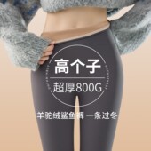 打底瑜伽裤 女外穿秋冬加绒加长2025新款 高腰保暖棉裤 高个子鲨鱼裤