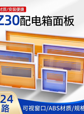配电箱盖板PZ30空开关盒面板15回路204弱16强电箱盖子10位2塑料20