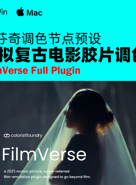 达芬奇调色 FilmVerse 模拟仿真胶片复古电影 DCTL 调色节点预设