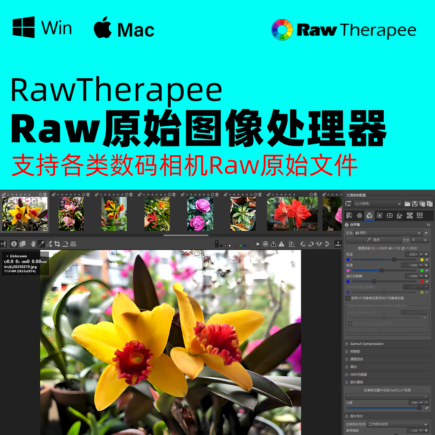 RawTherapee v5.12 跨平台 Raw原始图像处理软件 (Win&Mac&Linux)