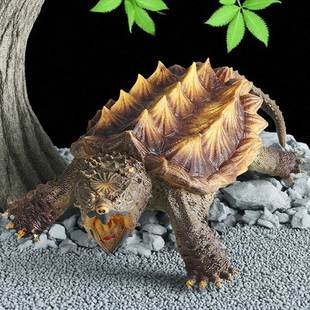 仿真鳄龟模型陆龟海龟乌龟摆件野生甲鱼大鳄龟硅胶动物玩具鳄鱼龟