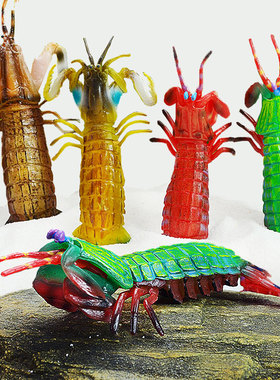 仿真皮皮虾模型海洋动物玩具雀尾螳螂虾实心虾姑模型摆件儿童玩具