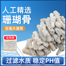 大块珊瑚骨滤材纯天然精选珊瑚石水族锦鲤鱼缸鱼池过滤材料造景