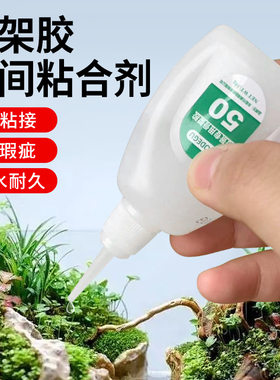 骨架胶水粘青龙石头沉木杜鹃根