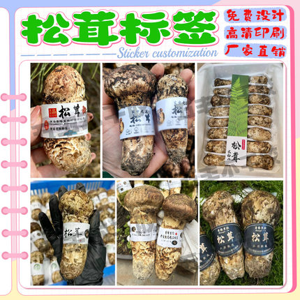 定制松茸腰封围条包装封条不干胶标签折页说明书宣传册商标设计