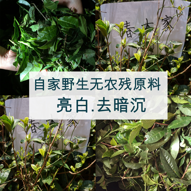 春木家 野生鲜绿茶纯露500ml 缓解暗沉 提升肌肤锁水力 补水 包邮