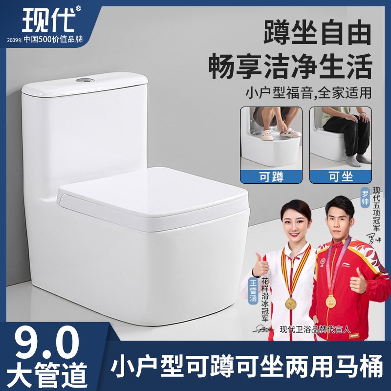 【现代品牌】小户型蹲坐两用马桶