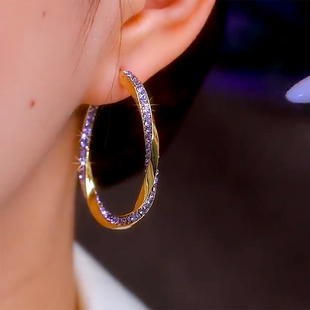 优雅显瘦耳环 扭曲大圈圈紫色镶钻耳饰轻奢高级感个性 抖音同款 法式