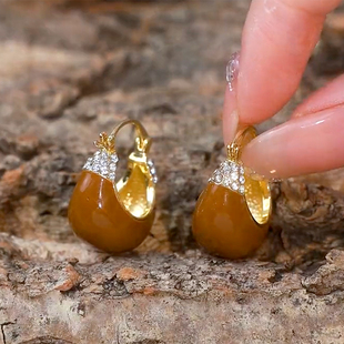 重工高档牛油果绿显白提篮耳环新款焦糖咖啡色小提包耳扣精致耳坠