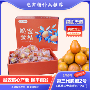 2号大果第三代脆蜜金桔广西柳州融安产水果新鲜礼盒现摘顺丰包邮