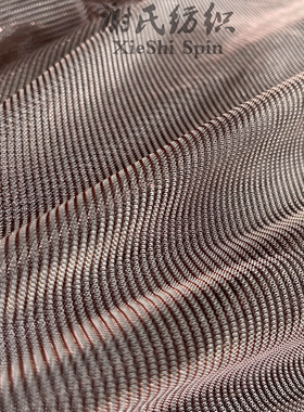 电光网纱闪藕灰色色透视布料幻彩设计师欧美风面料懒懒的布