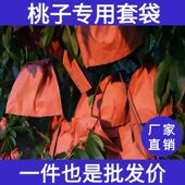 德国品质桃子套袋双层袋早熟晚熟中蟠秋彤桃映霜红桃中华寿桃突围