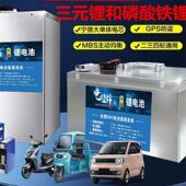 德国品质定制大单体二三轮车磷酸铁锂超长续航锂外卖电瓶电池