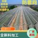 德国品质果园防雹网防鸟网厂家苹果葡萄果树防雹网防冰雹