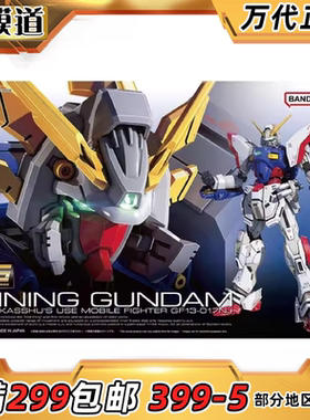 万代 RG 1/144 闪光高达 机动武斗传 G高达 多蒙卡修 拼装模型
