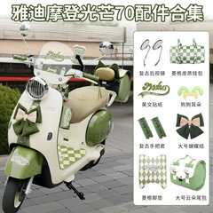 雅迪摩登光芒70电动车装饰复古灯罩后尾箱包挂钩贴纸配饰小配件
