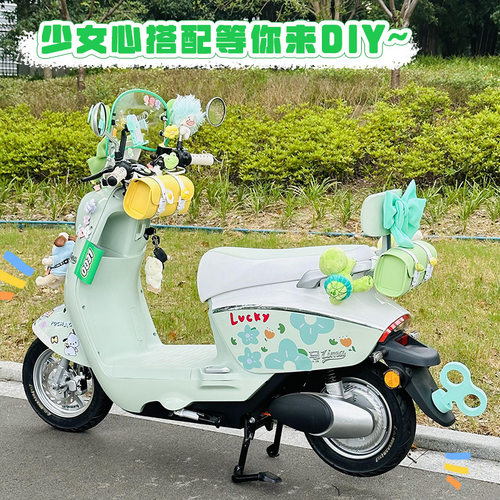 适用爱玛露娜配饰电动车装饰绿色