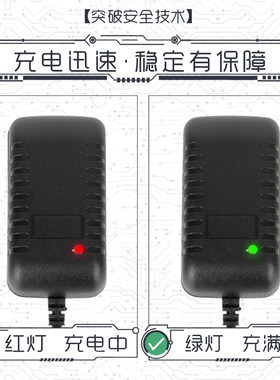 童车专用12V充电器儿童电动摩托车冲电线通用遥控汽车锂电池电瓶