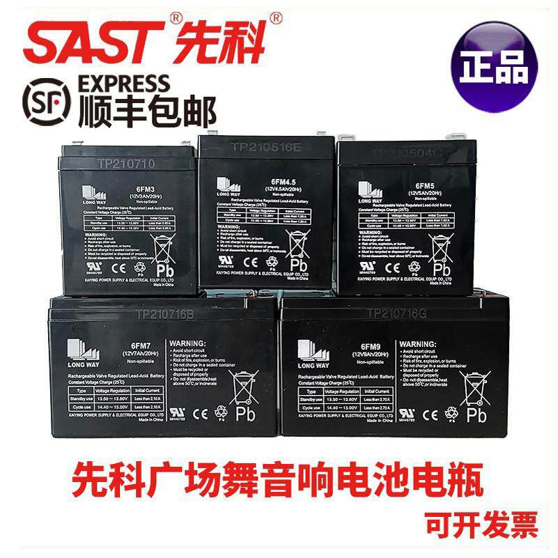 先科广场舞拉杆音响户外音箱原装原厂原配电池全新铅酸电池蓄电池