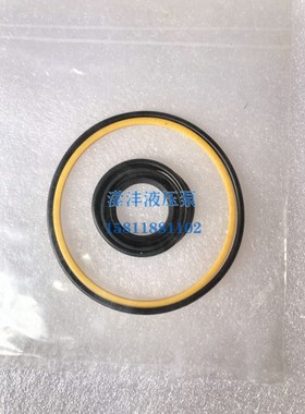 25V液压油泵密封件25V21A 419673 ring sealing O back-ip ring O