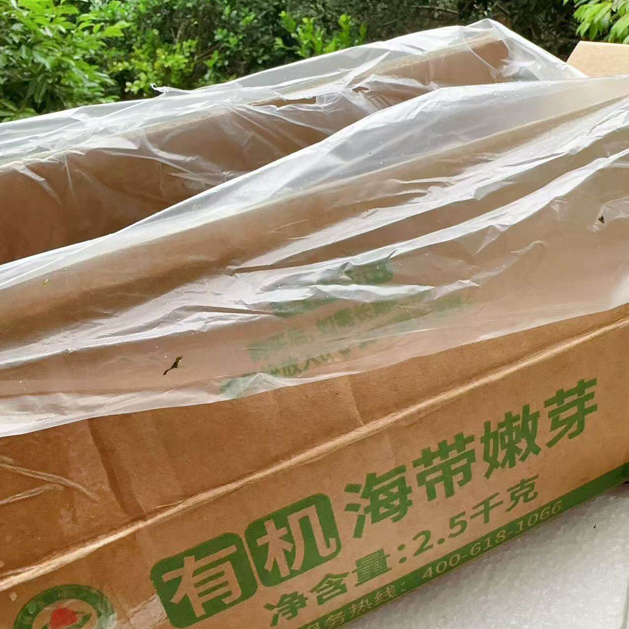 双有机嫩海带【口感不售后】