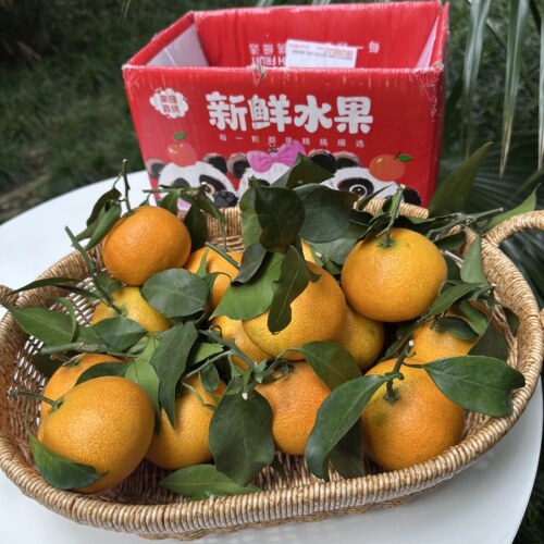 小爱媛果冻橙（没有甜蜜素）【口感不售后】收到放置几天口感更好