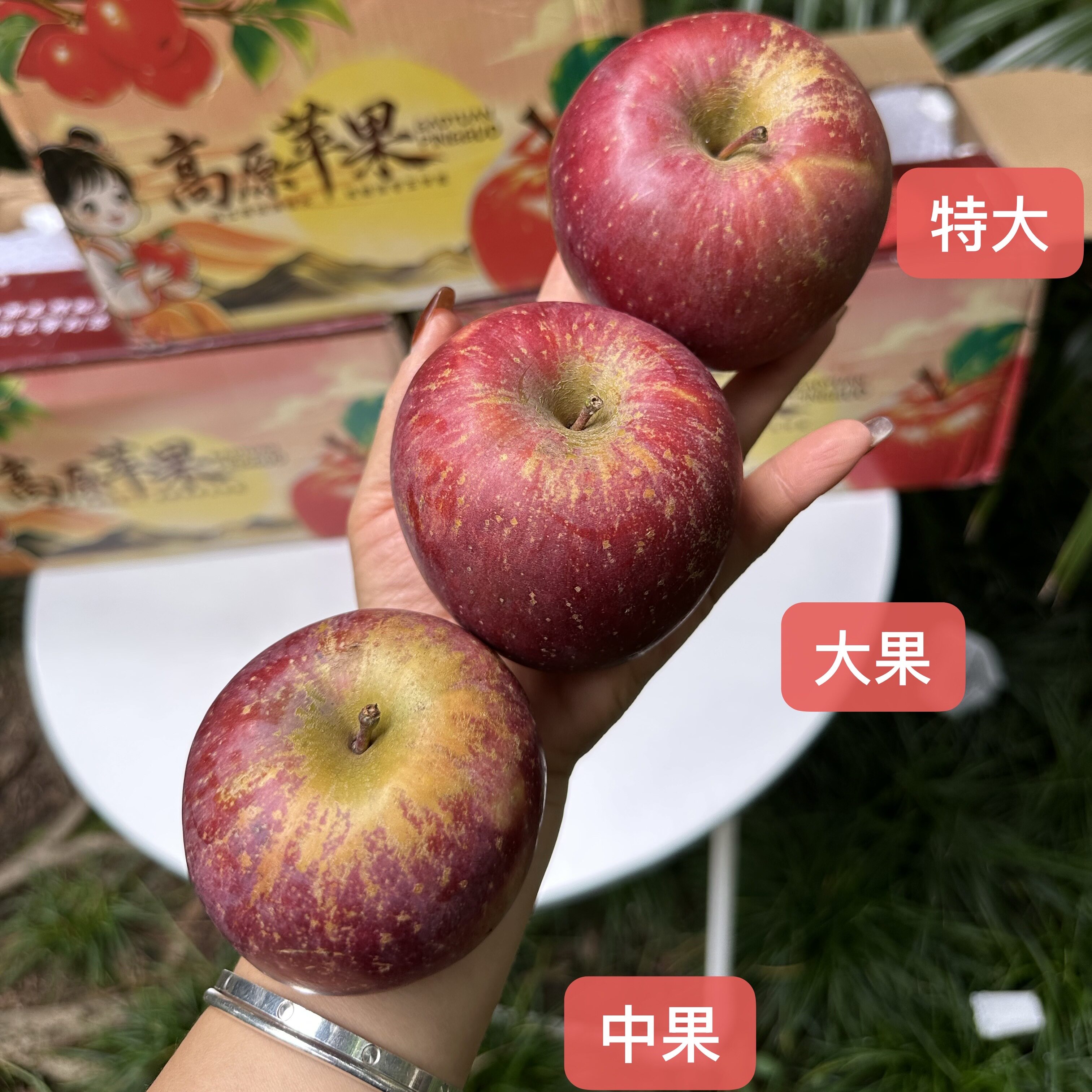 盐源原生态丑苹果【口感不售后】颜值宝宝慎拍