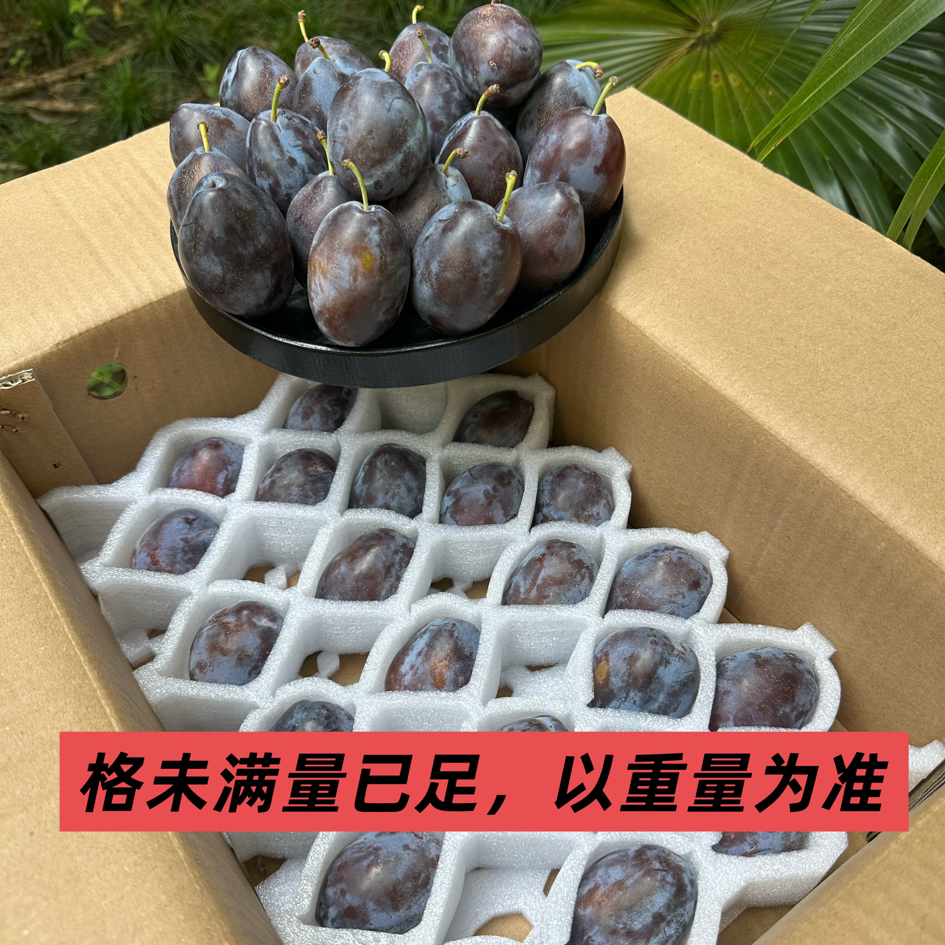 树熟西梅【口感花皮不售后】喜甜放软去皮吃,非法兰西