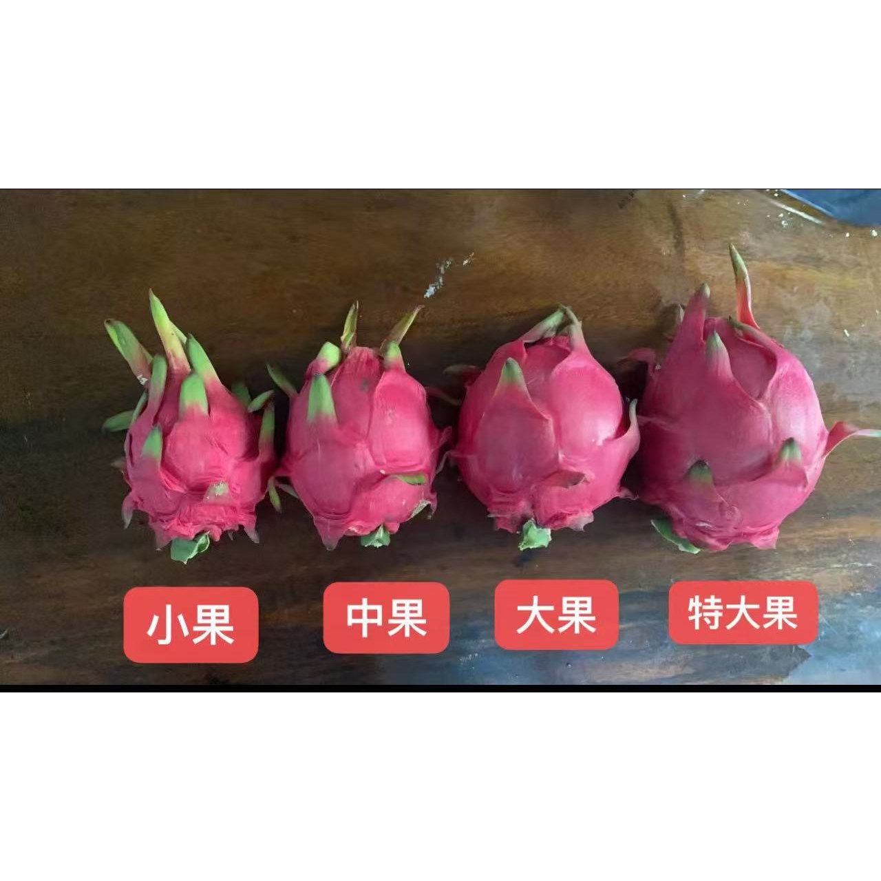 金都一号红心火龙果【口感皱皮不售后】产品特性颜值要求高的慎拍