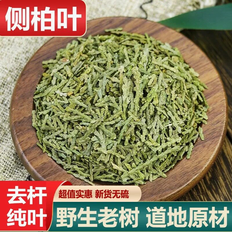 野生侧柏叶新货包邮泡酒生发乌发侧柏叶桑叶何首乌侧柏叶中药材粉