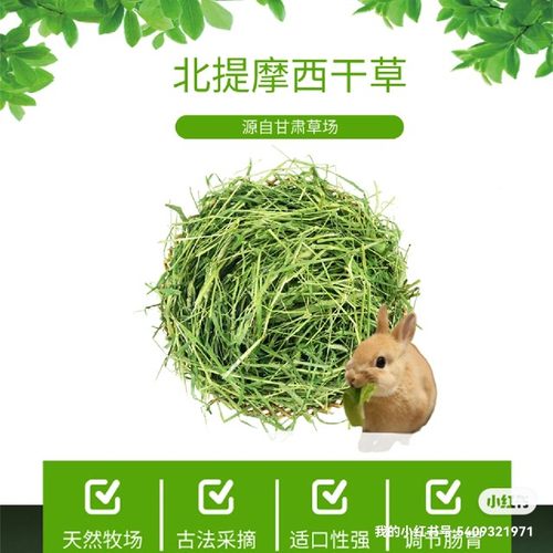 25年岷县精品晒干北提提摩西草兔子干草荷兰猪龙猫食用草