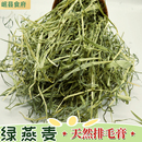 25年晒干绿燕麦草国产宠物兔兔粮草荷兰猪龙猫饲料兔兔吃牧草磨牙