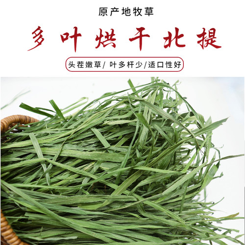 26年烘干多叶提摩西草小宠适用