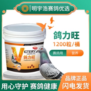 汉诺威鸽力旺 赛信鸽育雏宝鸽用幼鸽营养调理鸽子保健品种鸽丸