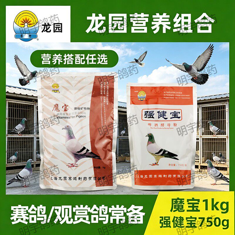 上海龙园强健宝啤酒酵母粉750克 活菌龙园魔宝  蛋白质维生素
