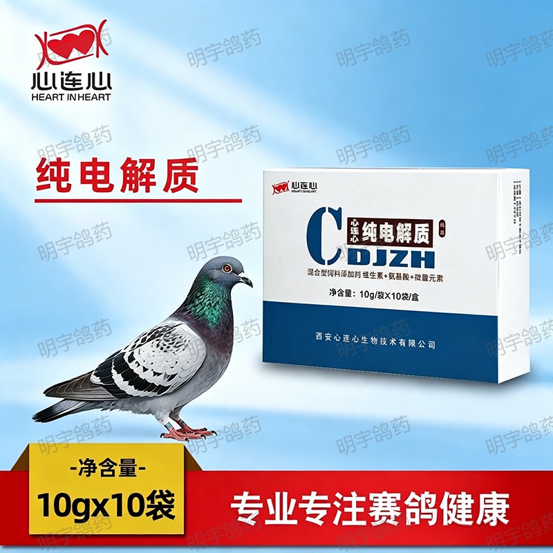 心连心纯电解质纯白电解质赛鸽比鸟禽类医疗用品