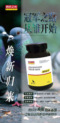 西农之光育雏丸 健雏金丹 300粒幼鸽夺霸/龙园育雏宝幼鸽宝保健