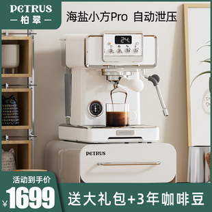 Petrus/柏翠 PE3828GR意式咖啡机家用小型半自动一体海盐小方PRO
