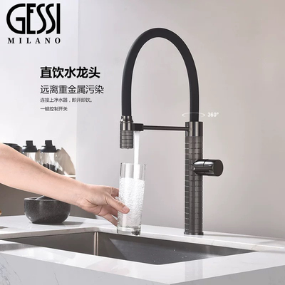 意大利捷仕GESSl厨房水龙头冷热净水二合一洗菜盆水槽全铜可旋转