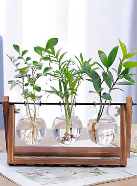 简约玻璃花瓶桌面摆件水培容器
